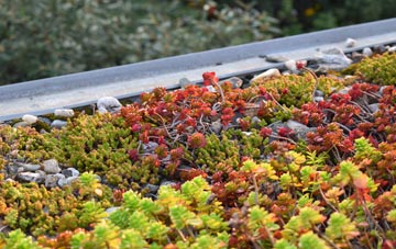 the cost of Dedridge green roof installation