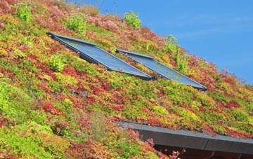 Dedridge living roof systems