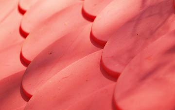 Dedridge plastic roof costs